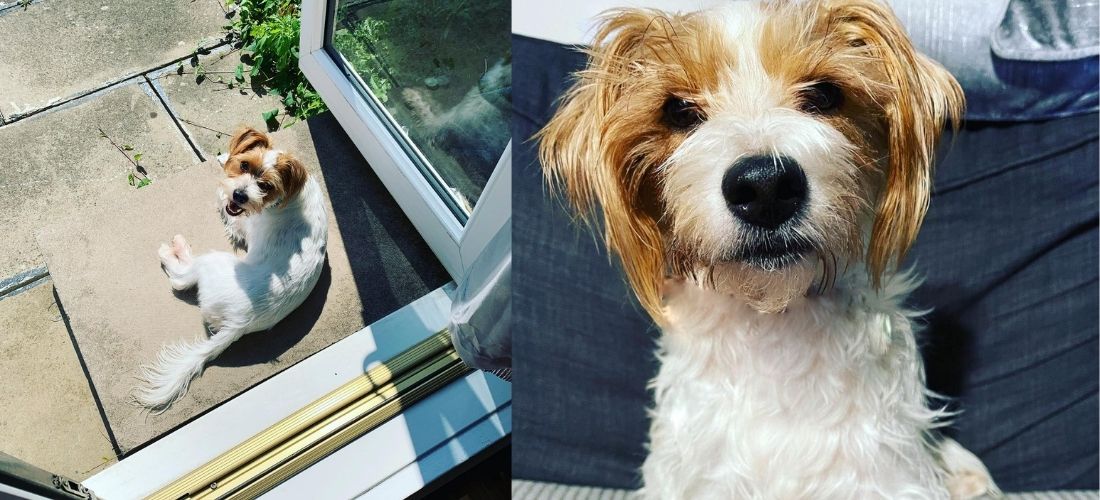 Two photos of Buzz Lightyear: the first shows him sunbathing outside, the second showing him sat inside looking at the camera